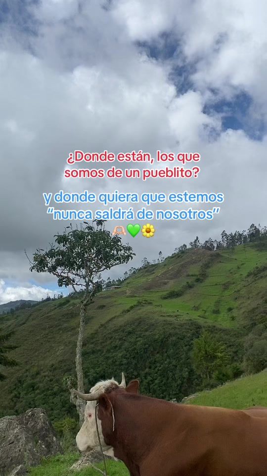 TikTok video thumbnail by anayely.cotrina
