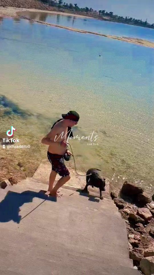 TikTok video thumbnail by chakibtito0
