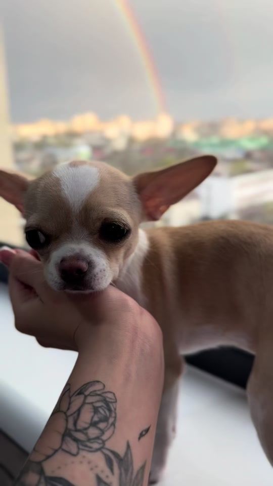 TikTok video thumbnail by _romanova_0128