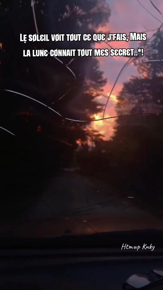TikTok video thumbnail by skso.goa