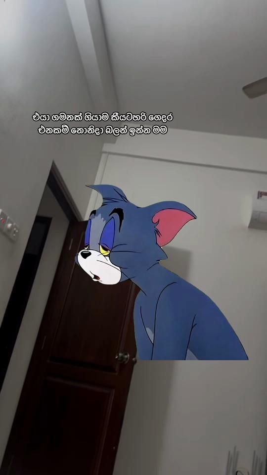 TikTok video thumbnail by sooraweerakello