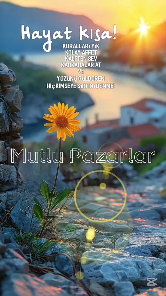 TikTok video thumbnail by serapserbetci