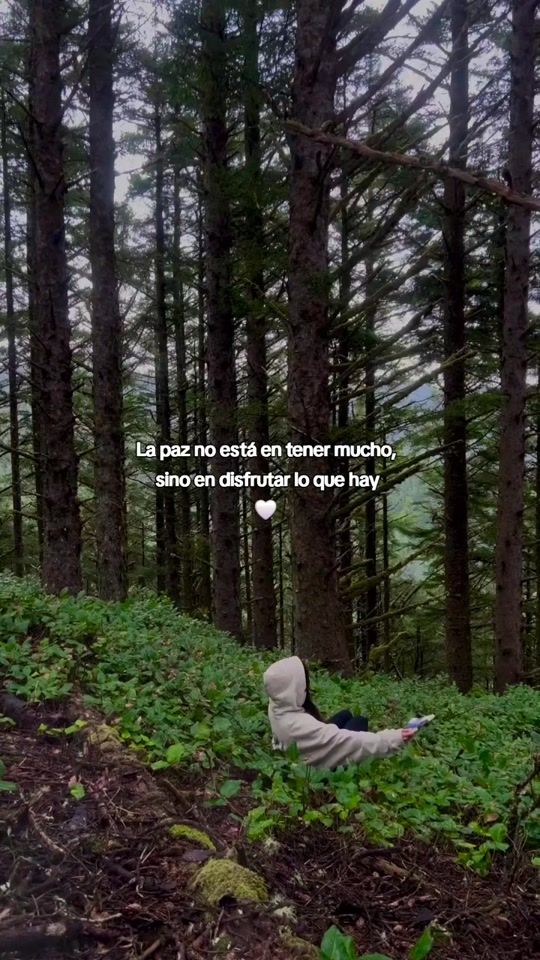 TikTok video thumbnail by fraseswa_0