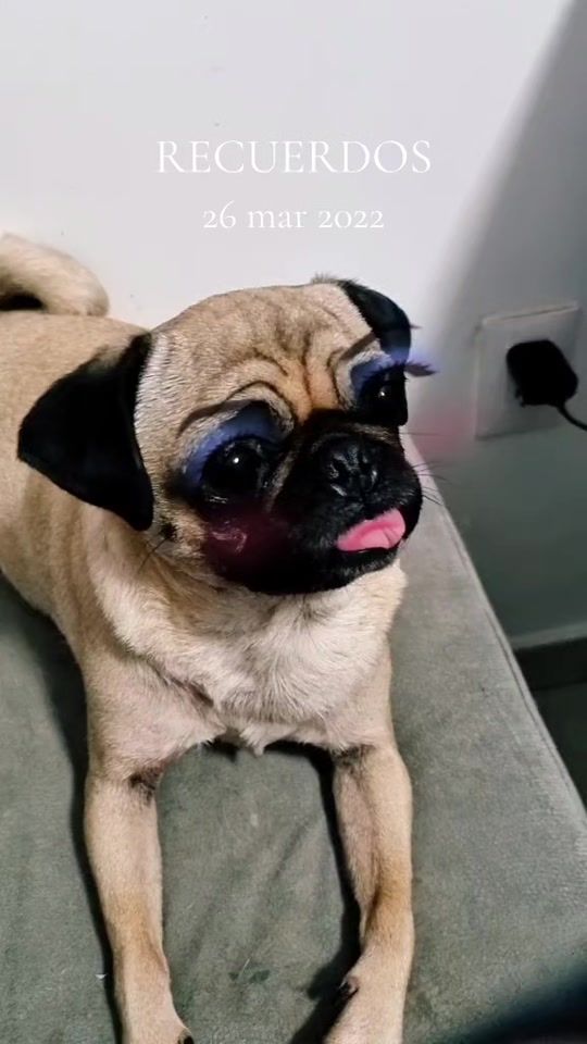 TikTok video thumbnail by rayito501