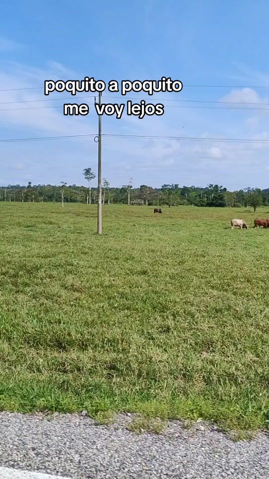 TikTok video thumbnail by mary_may_15