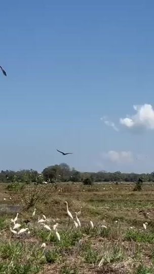 TikTok video thumbnail by tharma750