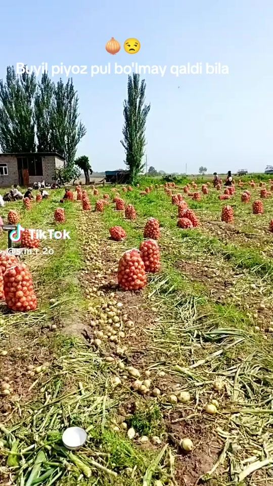 TikTok video thumbnail by davlatshox182