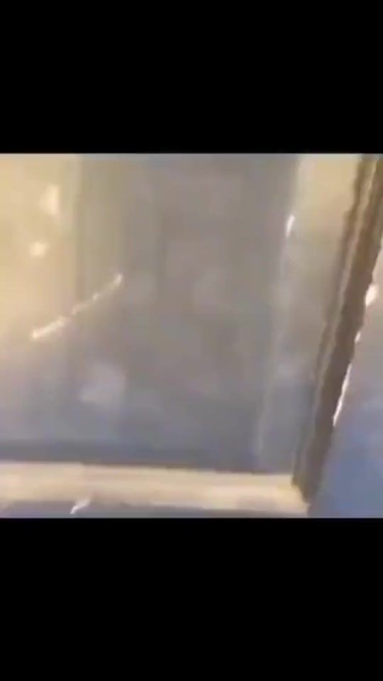 TikTok video thumbnail by juanlug