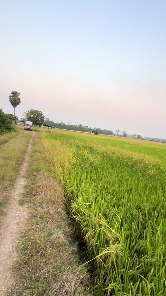 TikTok video thumbnail by kankan441