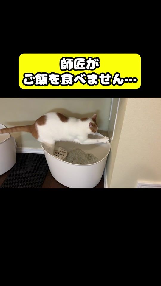 TikTok video thumbnail by tsukushitube