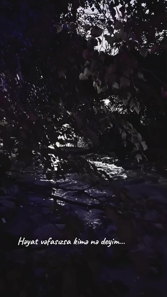TikTok video thumbnail by mr..anonim