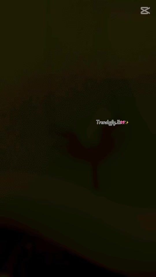 TikTok video thumbnail by trendyfy.lk