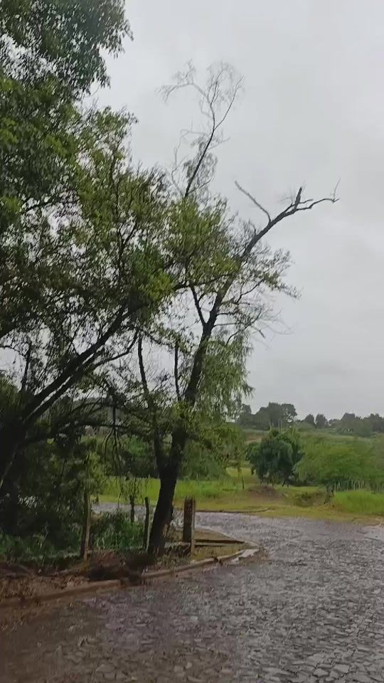 TikTok video thumbnail by alexislink10
