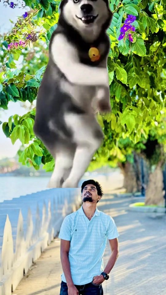 TikTok video thumbnail by ___farsu___