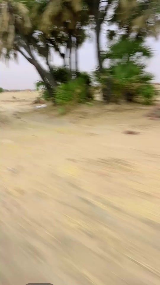 TikTok video thumbnail by samira1883838
