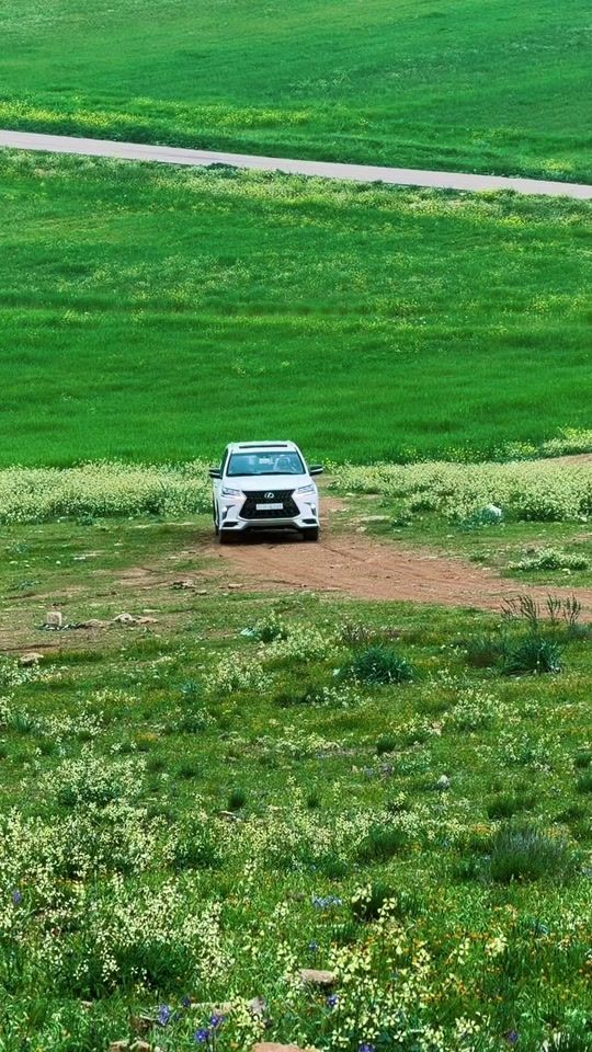 TikTok video thumbnail by 3gzf