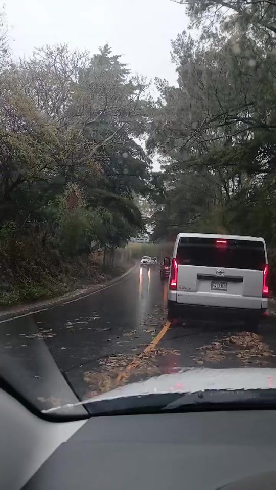 TikTok video thumbnail by tata_rambo_oficial