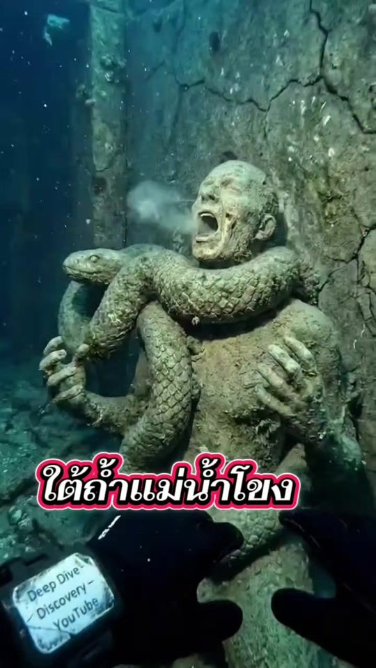 TikTok video thumbnail by gkn.gkn0