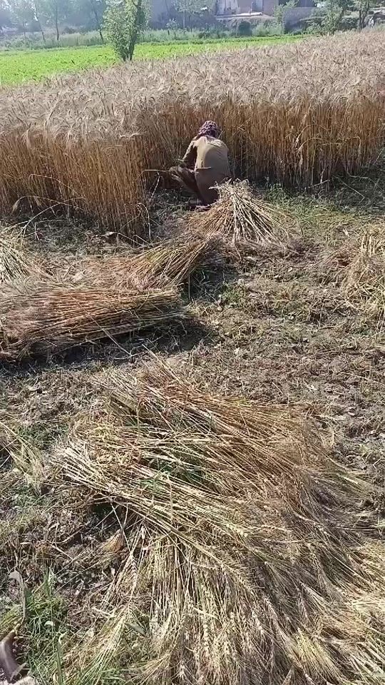 TikTok video thumbnail by ashraf.baloch06
