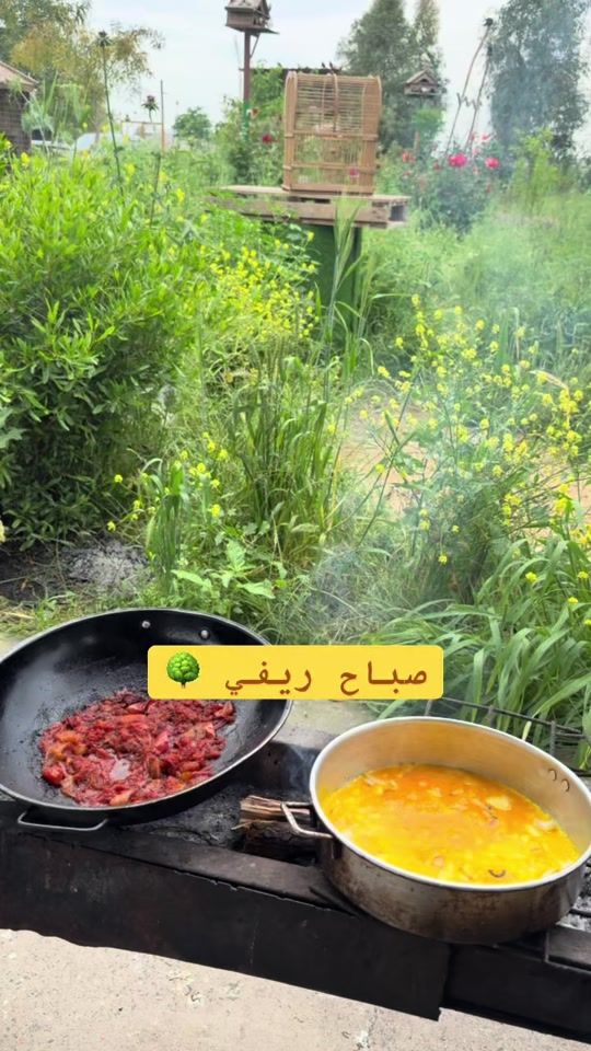 TikTok video thumbnail by firas_hammadi