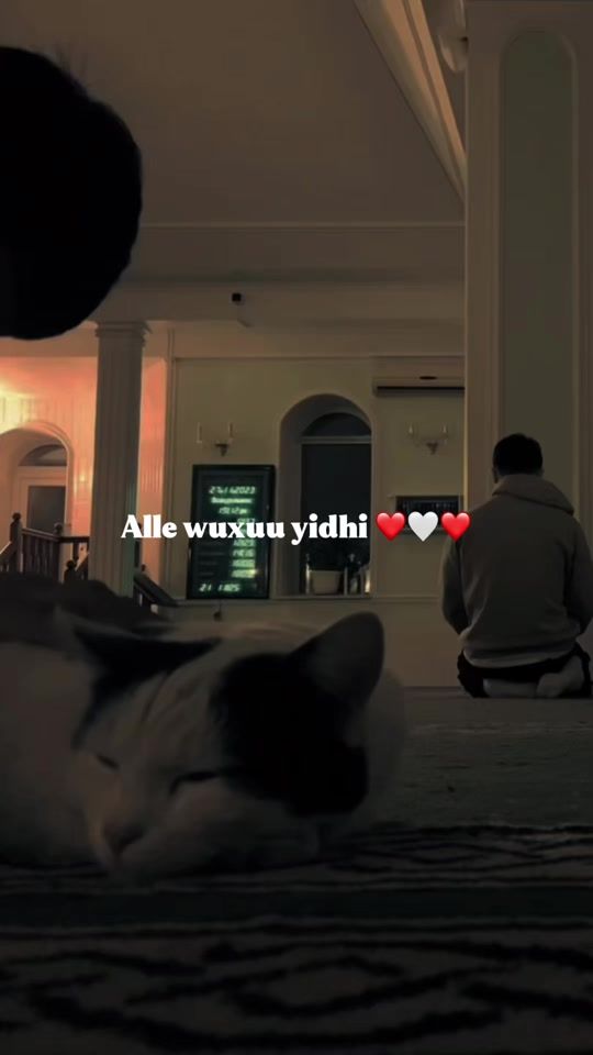 TikTok video thumbnail by 0.01.123