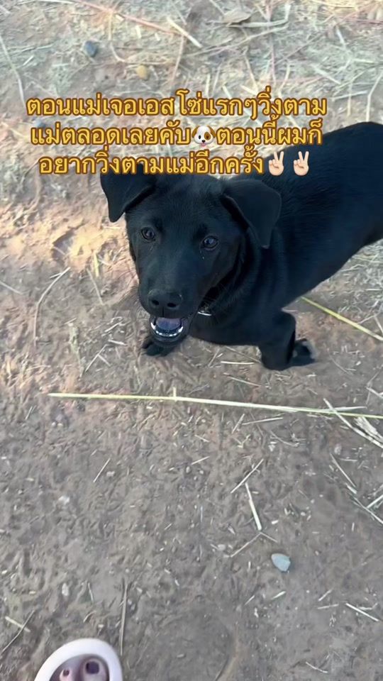 TikTok video thumbnail by ladakoonpukdee