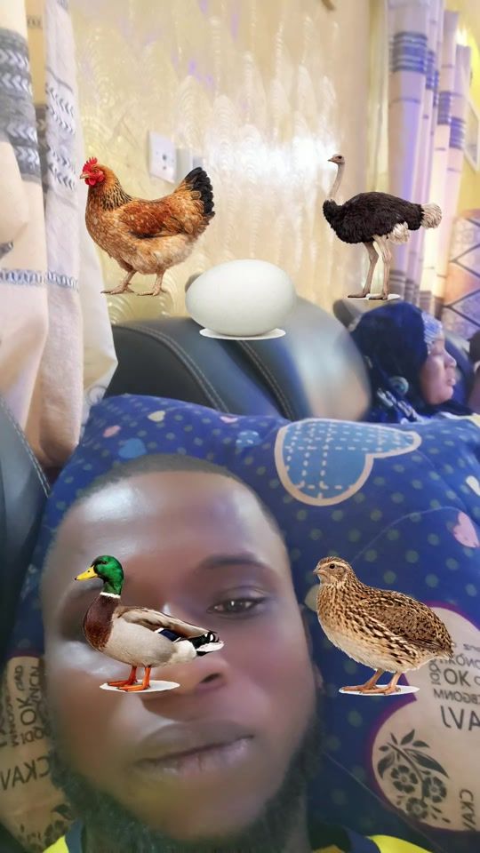 TikTok video thumbnail by belemsouleymanepdg
