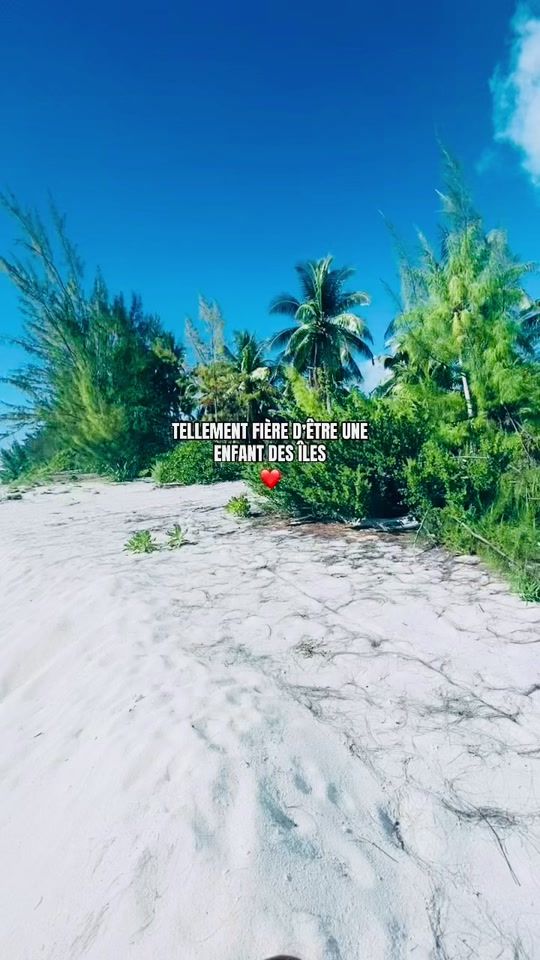 TikTok video thumbnail by princesse_cheeayee