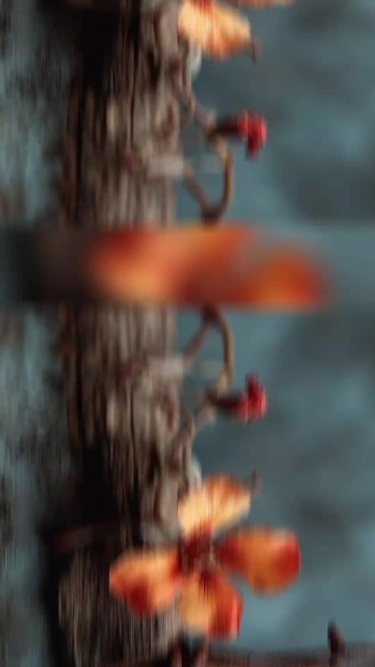 TikTok video thumbnail by userzahra181