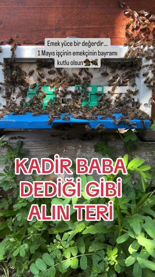 TikTok video thumbnail by eser13.10.2018.eda