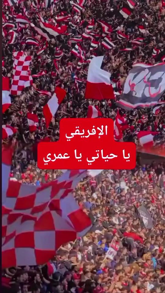 TikTok video thumbnail by mafiamafia.com