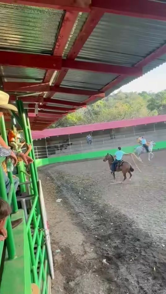 TikTok video thumbnail by kennethf12