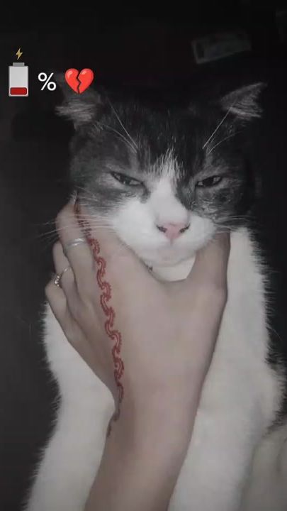 TikTok video thumbnail by sarjaydah2