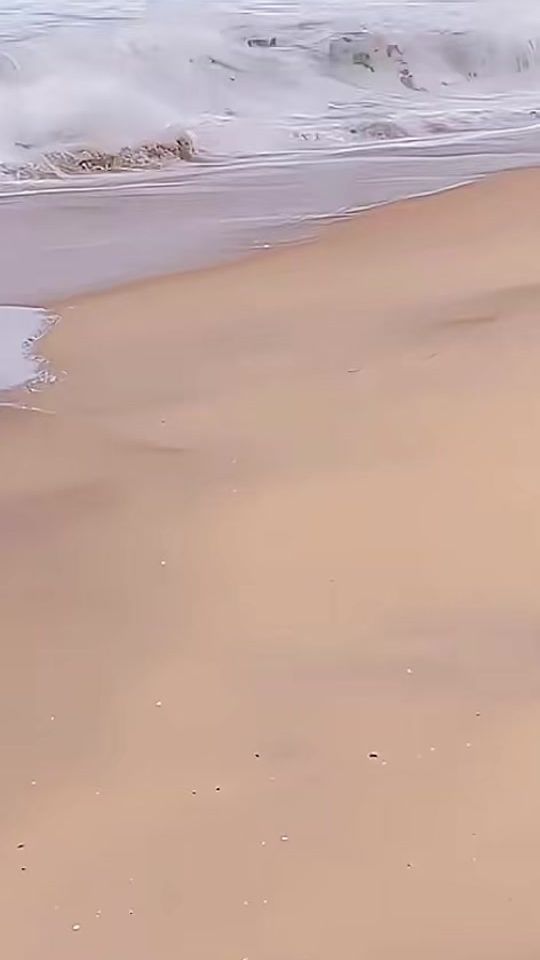 TikTok video thumbnail by lil_k800