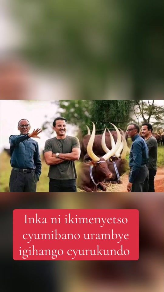 TikTok video thumbnail by bbrjustin