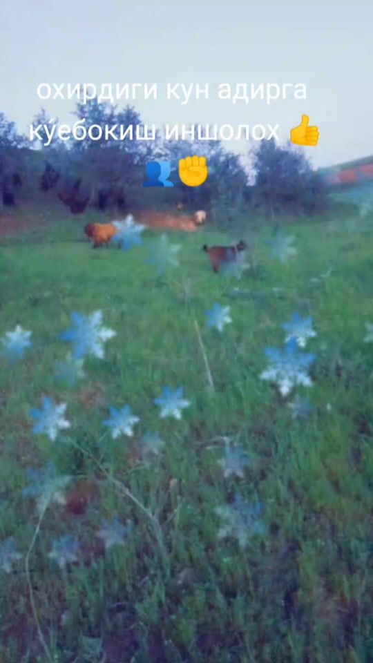 TikTok video thumbnail by alijon1009
