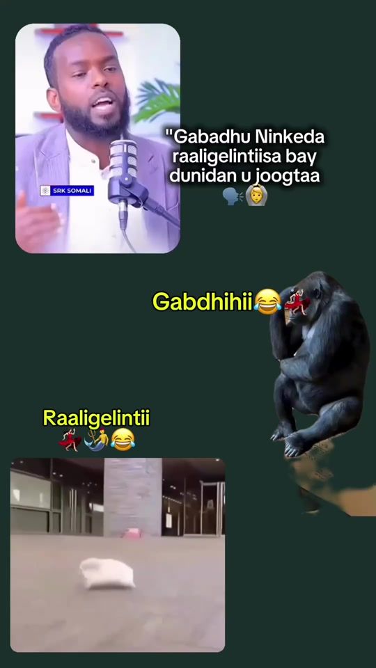 TikTok video thumbnail by ..2.4.6.1
