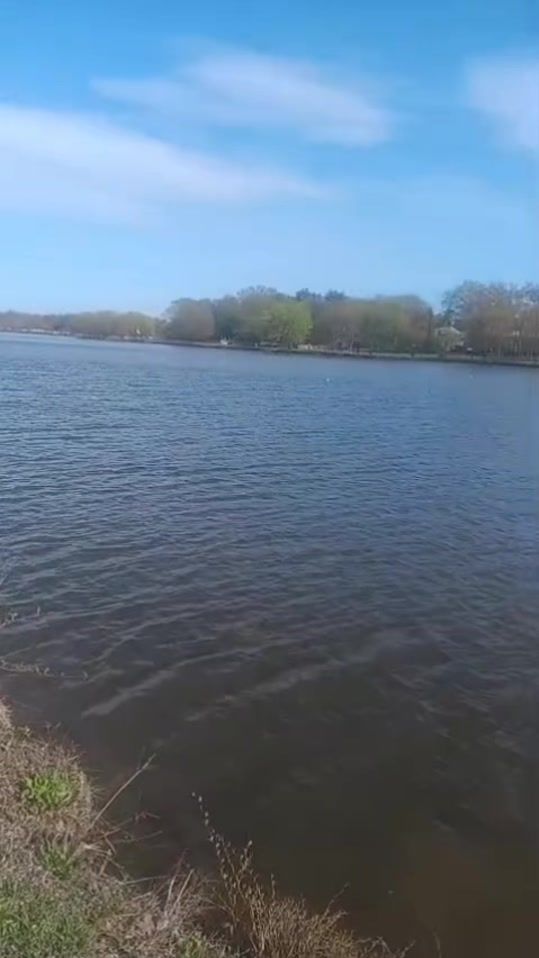 TikTok video thumbnail by mariposa4783