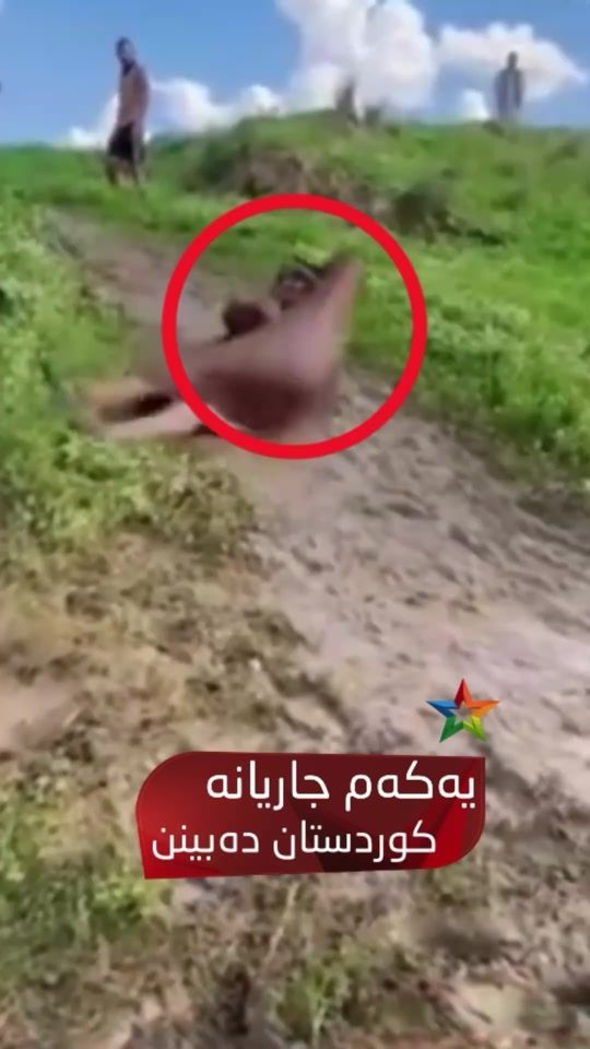 TikTok video thumbnail by star_magazinee