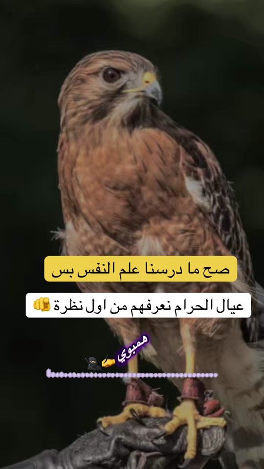 TikTok video thumbnail by httpsvt.tiktok.comzsmva8