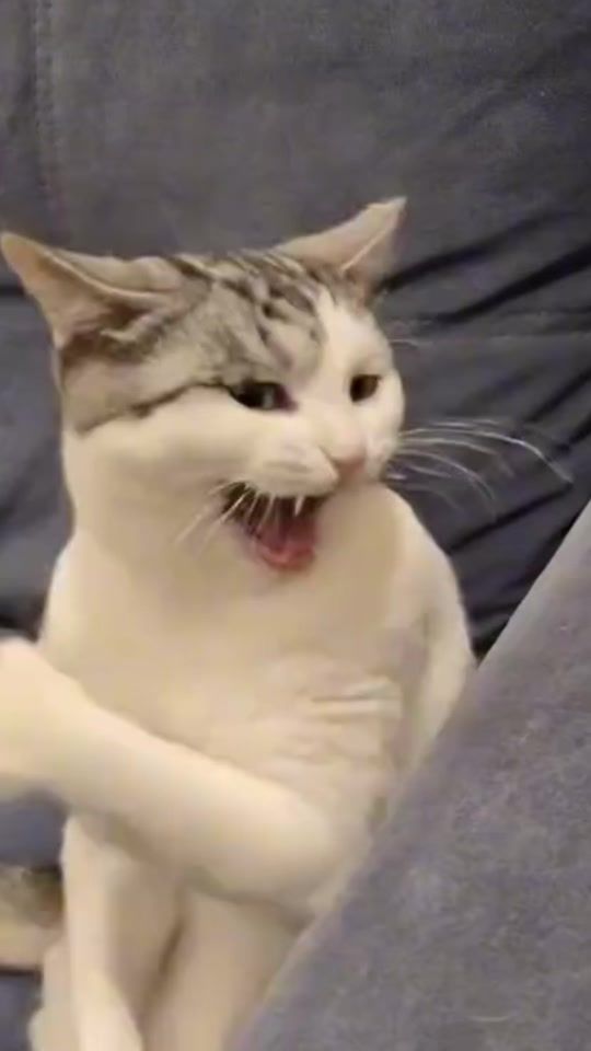 TikTok video thumbnail by _turbo_654