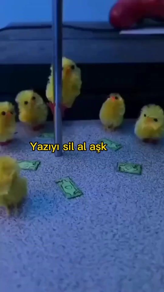 TikTok video thumbnail by aluliiiaau_2