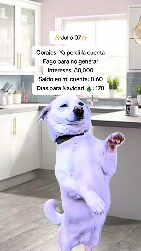 TikTok video thumbnail by _lucia.268