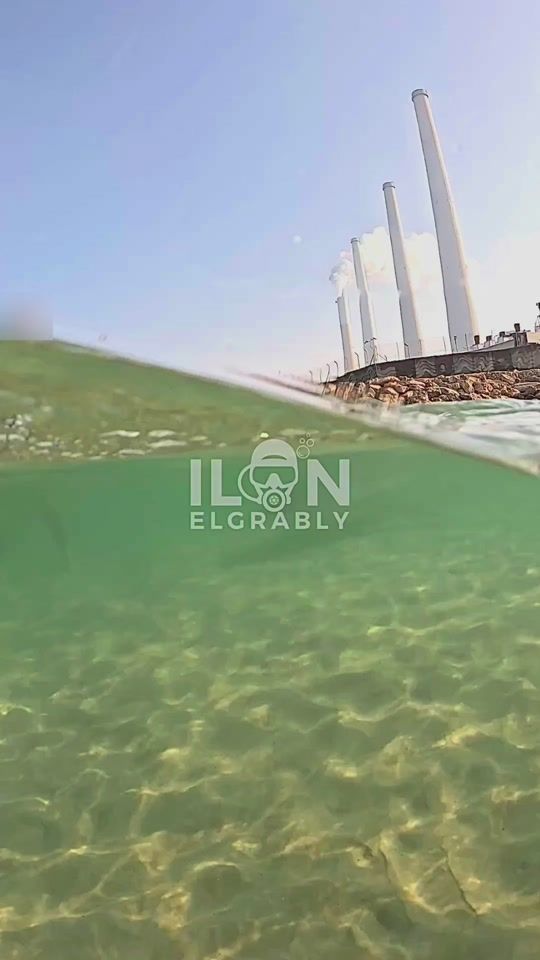TikTok video thumbnail by ilanelgrably