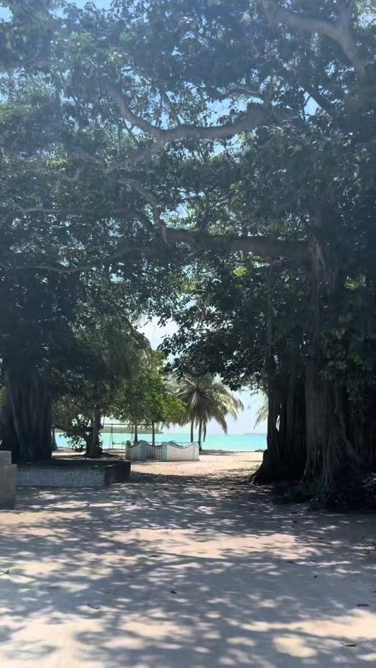 TikTok video thumbnail by arusha0201