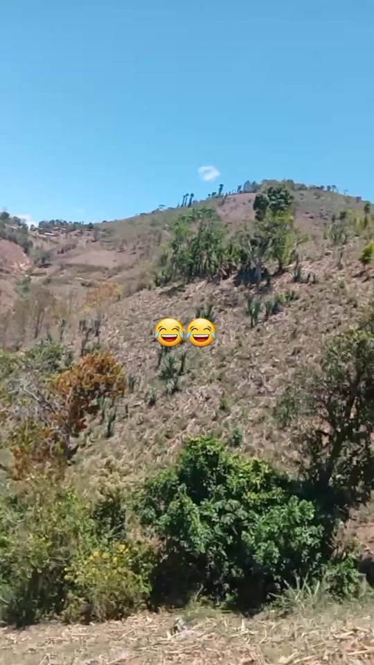 TikTok video thumbnail by user20vn80f14e