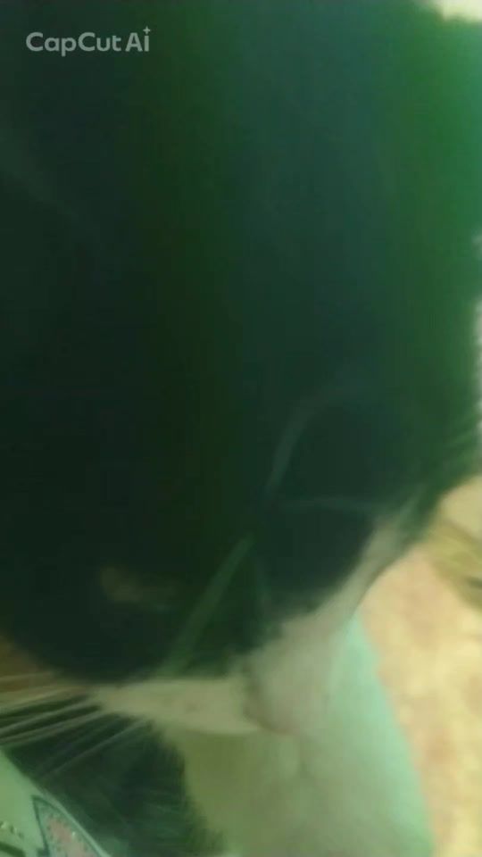 TikTok video thumbnail by lagransabanabus