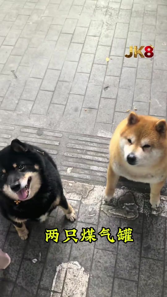 TikTok video thumbnail by cliffordng93