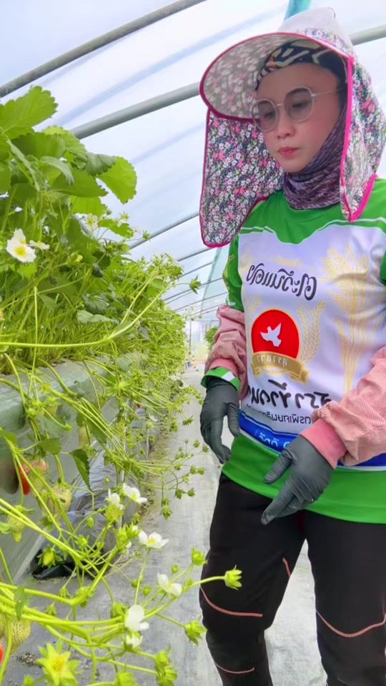 TikTok video thumbnail by aom_phennapha