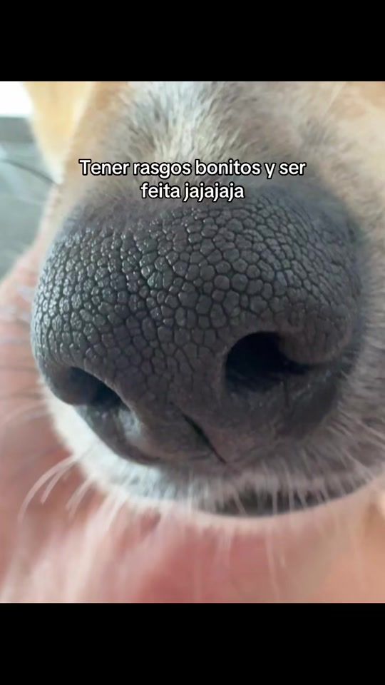 TikTok video thumbnail by milaf.bg